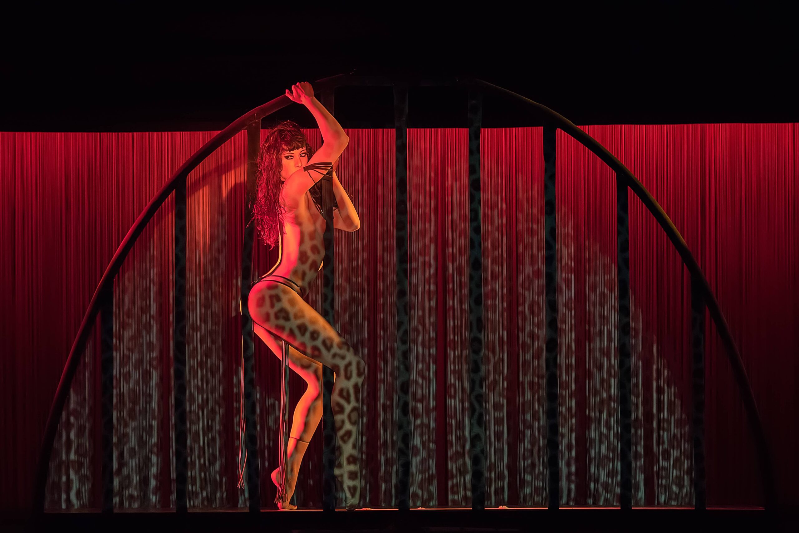 Danseuse Gloria Di Parma Crazy Horse By Alberto Baracchini